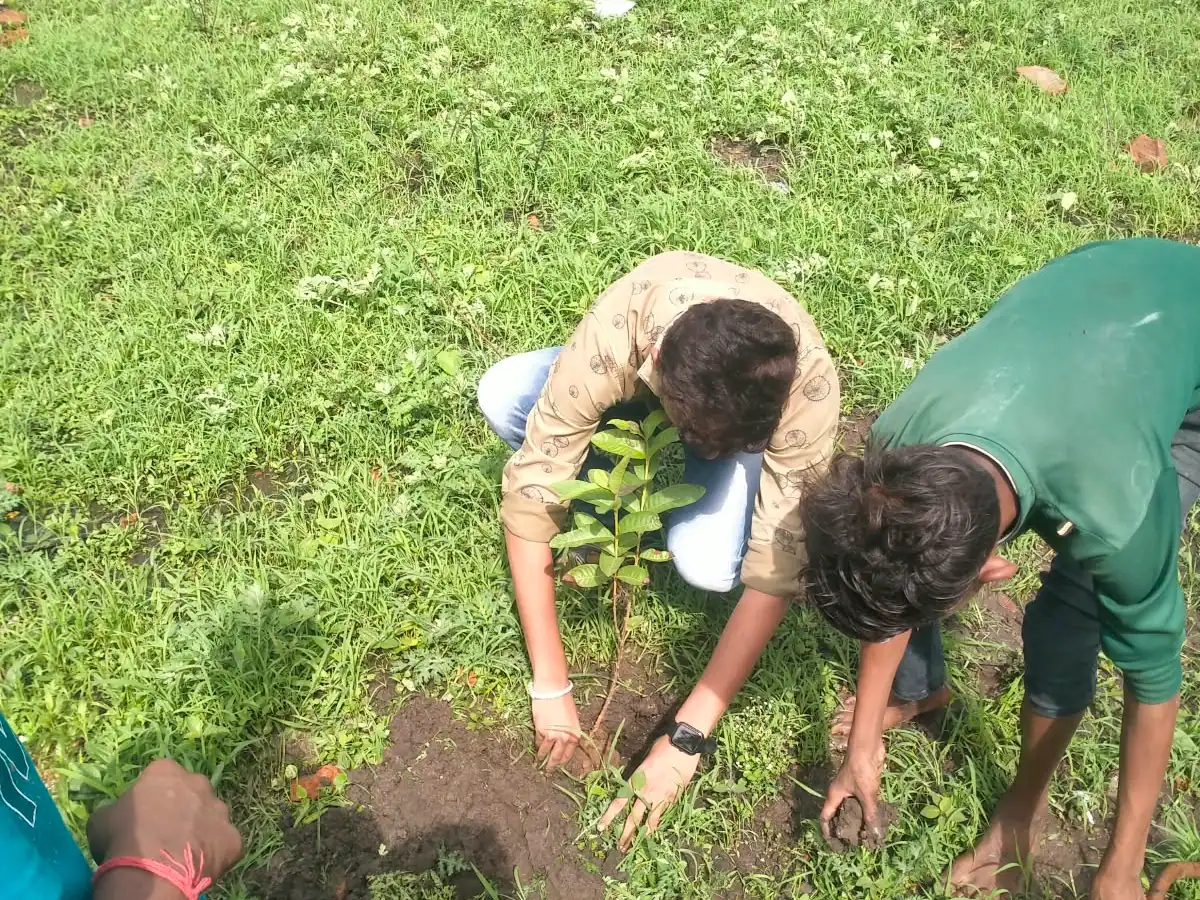 Young volunteers planting a sapling in an open field.